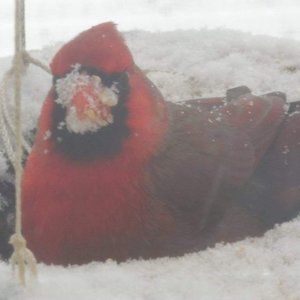 Meet your Posher, Dale